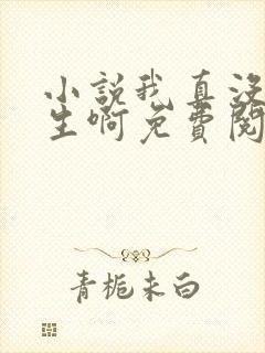 小说我真没想重生啊免费阅读免费