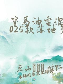 宝马油电混动2025款落地多少钱