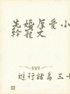 先婚厚爱小说高干宠文