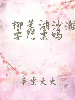 柳叶湖沙滩公园要门票吗