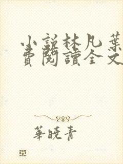 小说林凡叶惜免费阅读全文最新