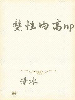双性肉高np