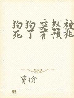 狗狗突然被车撞死了有预兆吗