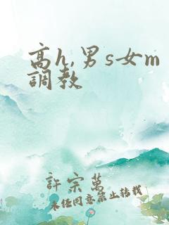 高h,男s女m调教