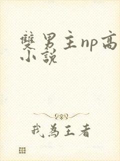 双男主np高h小说