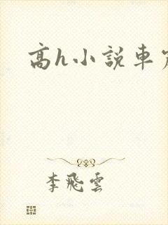 高h小说车震
