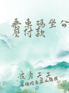 乘车码坐公交怎么付款