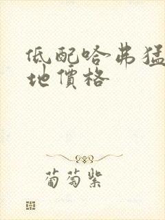 低配哈弗猛龙落地价格