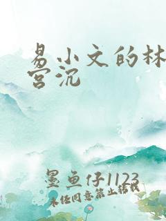 易小文的林知意宫沉