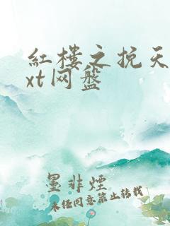 红楼之挽天倾txt网盘