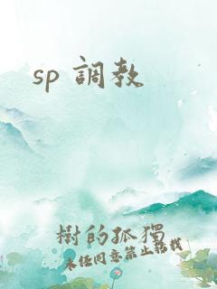 sp 调教