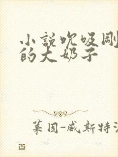 小说吮吸刚子娘的大奶子