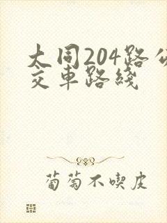 大同204路公交车路线