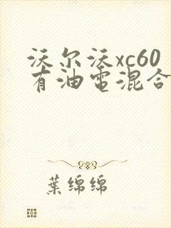 沃尔沃xc60有油电混合动力
