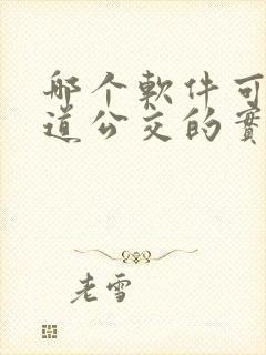 哪个软件可以知道公交的实时时间呢