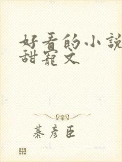 好看的小说言情甜宠文