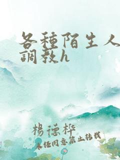各种陌生人np调教h