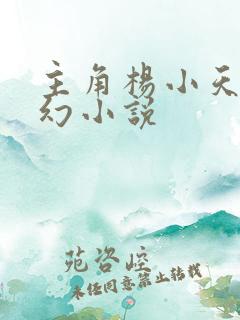 主角杨小天的玄幻小说