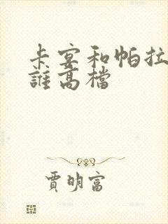 卡宴和帕拉梅拉谁高档