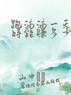 跑滴滴一天6小时能赚多少