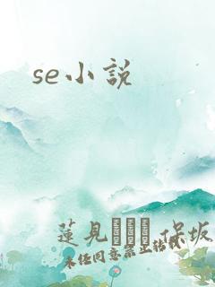 se小说