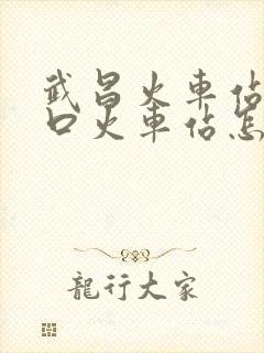 武昌火车站到汉口火车站怎么走