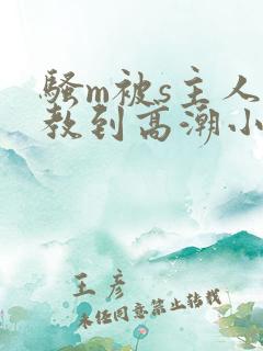 骚m被s主人调教到高潮小说