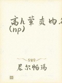 高h荤爽肉欲文(np)