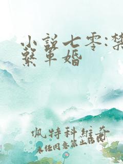 小说七零:禁欲系军婚