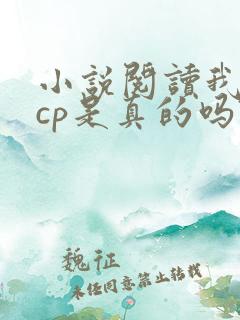 小说阅读我嗑的cp是真的吗? 小说阅读我嗑的cp是真的吗?