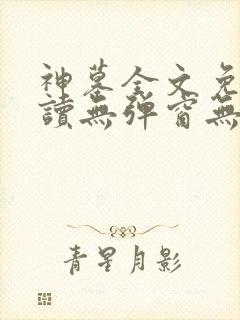 神墓全文免费阅读无弹窗无广告