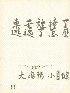 车子被撞了对方逃逸了怎么办