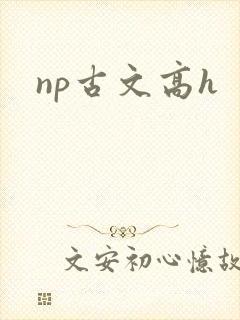 np古文高h np古文高h