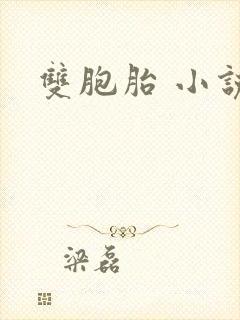 双胞胎 小说
