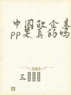 中国政企基金app是真的吗安全吗