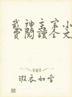 武神主宰小说免费阅读全文无弹窗