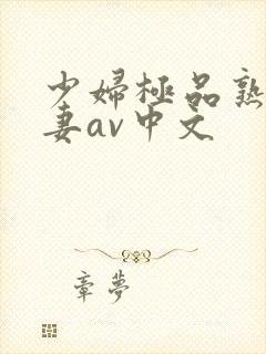 少妇极品熟妇人妻av中文