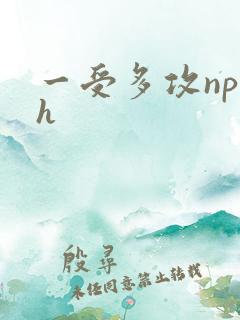 一受多攻np高h