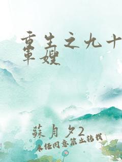 重生之九十年代军嫂