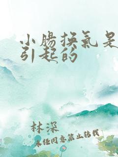 小肠换气是怎么引起的