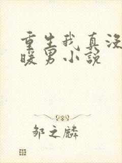 重生我真没想当暖男小说