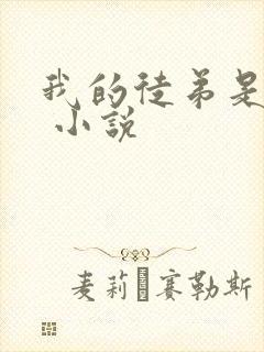 我的徒弟是主角 小说