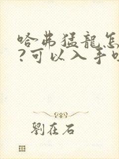 哈弗猛龙怎么样?可以入手吗?