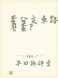 查公交车路线怎么查?