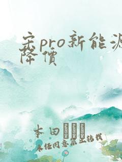 宋pro新能源降价