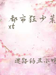 都市狂少叶凡txt