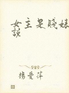 女主是贱婊的小说