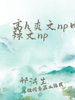 高h爽文np肉辣文np