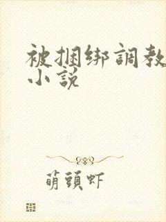 被捆绑调教高潮小说