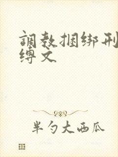 调教捆绑刑具束缚文